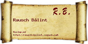 Rausch Bálint névjegykártya
